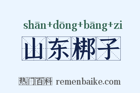 山东梆子是什么意思的图片